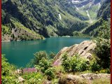 photo Couleur Verte de Baladeur