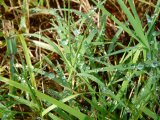 Couleur Verte - Photo de Marion18