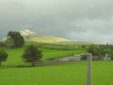 photo Couleur Verte de meli