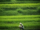 Couleur Verte - Photo de Roxsnap