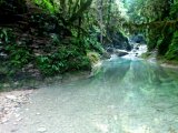 photo Couleur Verte de Alexandra01