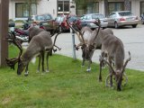 Insolite - Photo de MT90
