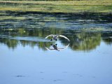 photo Dame Nature de pascalg