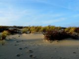photo Dame Nature de Marion18