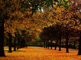 photo Dame Nature de alina