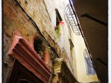 photo Voyage sens dessus dessous de moscovitch