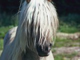 photo  de ranger