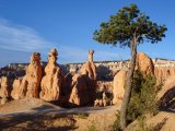 Petite promenade au soleil levant sur le Navajo Trail, Bryce canyon, Utah.