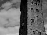 photo Ligne et architecture de lau a la fraise