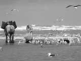 http://www.fou-de-voyage.com/photo/concours/20150400271-travailleur-de-la-mer.jpg