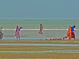 Travailleur de la mer - Photo de Pauldesmartigues