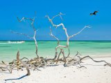 http://www.fou-de-voyage.com/photo/concours/20150794356-paysage.jpg