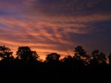 Voyage flamboyant - Photo de Willou