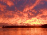 Voyage flamboyant - Photo d'Annick74