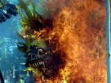 http://www.fou-de-voyage.com/photo/concours/20160117477-voyage-flamboyant.jpg
