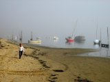 Brume du matin sur Petit Piquey (Bassin d'Arcachon)...