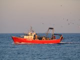 Mer et bateaux - Photo de Sylper549