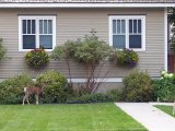 photo La nature en ville de indianajohn78
