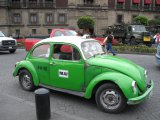 A Mexico, les coccinelles vertes font partie du paysage.