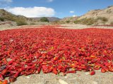 http://www.fou-de-voyage.com/photo/concours/20170202040-le-rouge.jpg