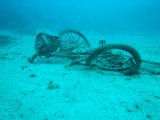 photo A l'abandon de ccy