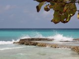 Les plages - Photo de Libellule