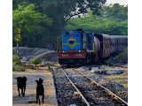 http://www.fou-de-voyage.com/photo/concours/20180501480-les-trains.jpg