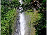 Chutes du Carbet - Basse Terre - Guadeloupe