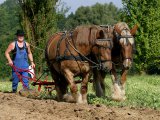 photo  de ranger