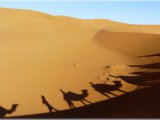 La suite du mois dernier... ballade dans l'erg Chebbi Merzouga Maroc