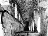photo Les escaliers de RENAUD LORILLARD