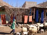 Photo de voyage au Maroc