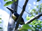 Photo de voyage au Costa Rica
