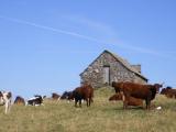 Photo de voyage en Auvergne