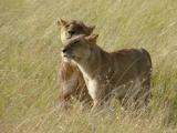Photo de voyage au Kenya