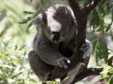 Photo de voyage en Australie