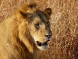 Photo de voyage au Kenya