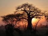 Photo de voyage en Tanzanie