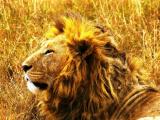 Photo de voyage en Tanzanie