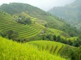 Photo de voyage au Viet Nam