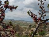 Photo de voyage en Turquie
