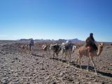 Photo de voyage en Algrie