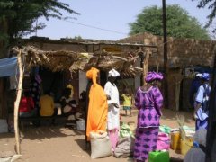 Voyage �  Saint Louis (S�n�gal) de 2 semaines (Mars 2008) racont� par Fabrice