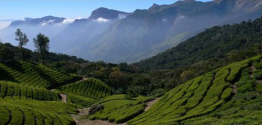 Photo de voyage en  Inde