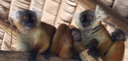 Photo de voyage   Madagascar