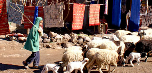 Photo de voyage au  Maroc
