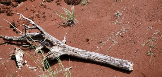 Photo de voyage en  Australie