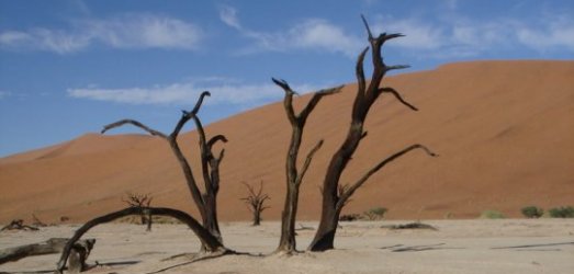 Photo de voyage en  Namibie