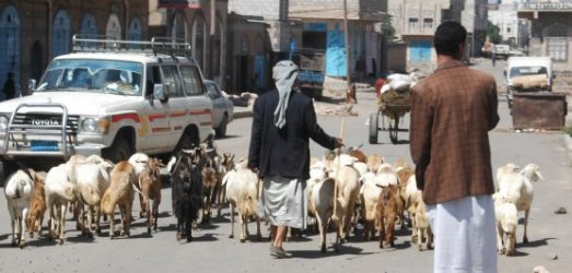 Photo de voyage au  Ymen