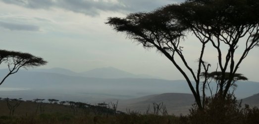 Photo de voyage en  Tanzanie